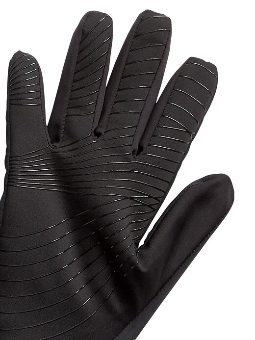Winthrop Glove